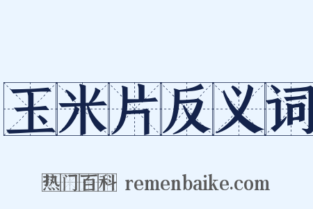 玉米片反义词是什么意思的图片